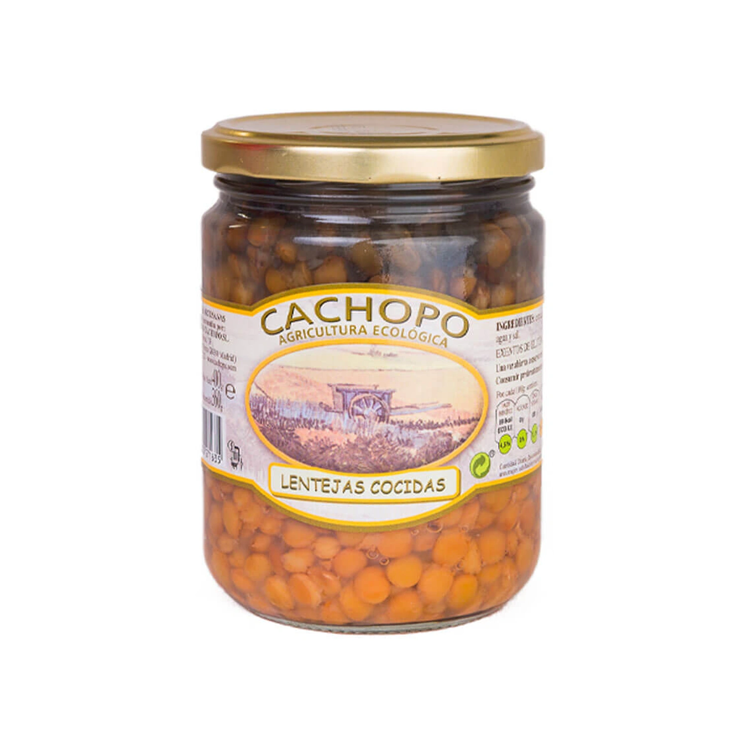 Lentejas cocidas Bio 445 ml Cachopo